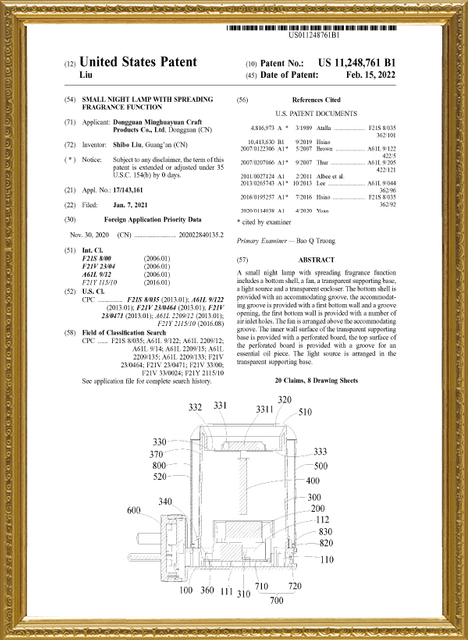 United States Patent