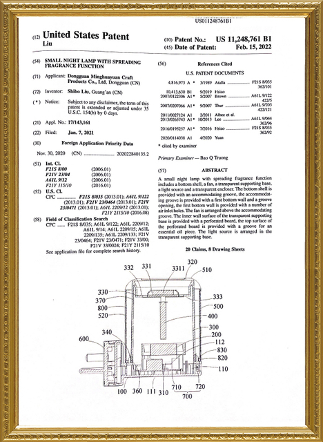 United States Patent